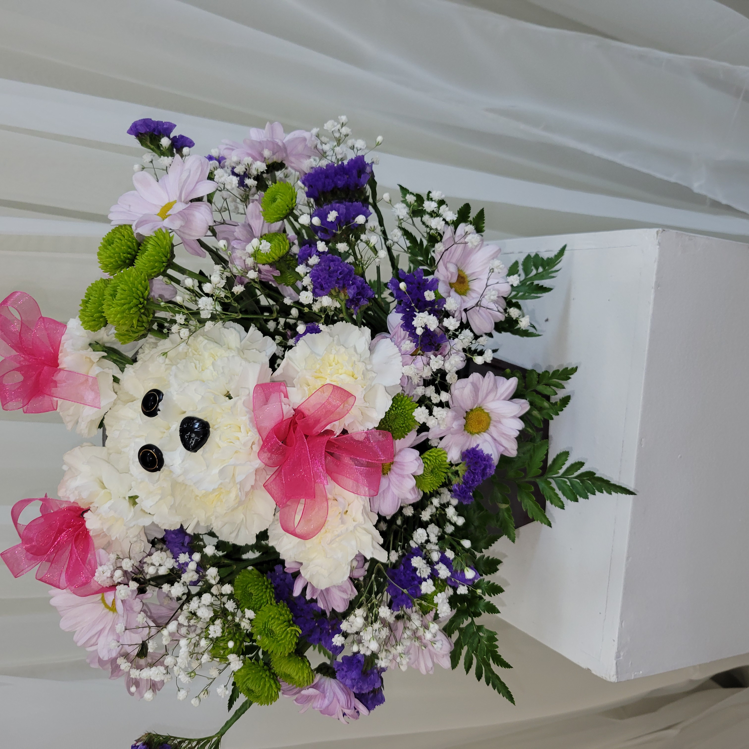 Mini Dog carnation Poodle